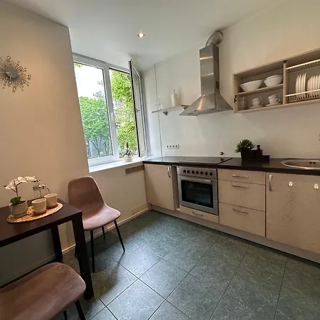 公寓 Lovely Raevala 塔林