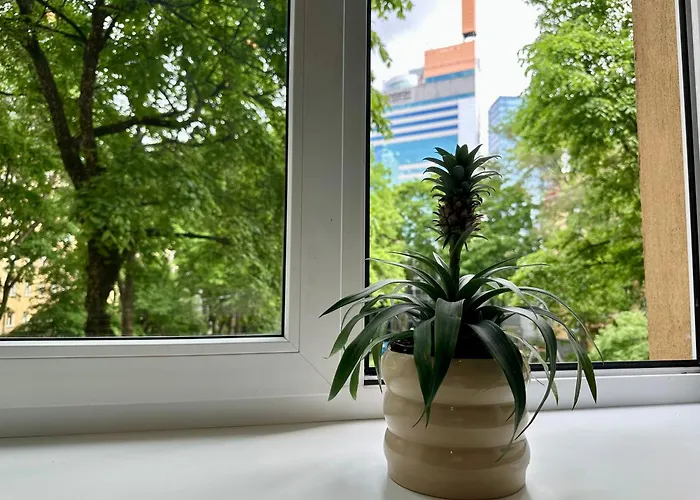 Lovely Raevala * 塔林