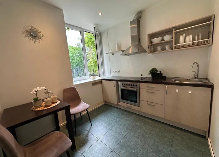 公寓 Lovely Raevala 塔林