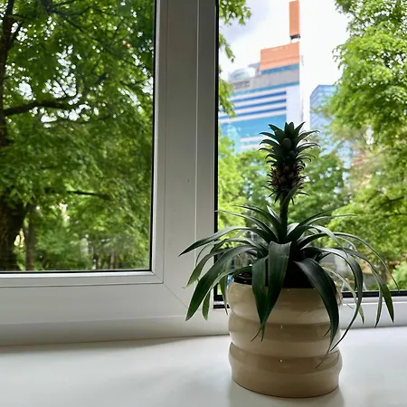 Lovely Raevala * タリン